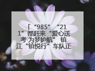 “985”“211”都赶来“爱心送考·为梦护航” 镇江“镇悦行”车队正式发车“赶考”