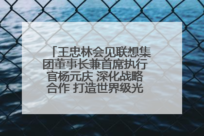 王忠林会见联想集团董事长兼首席执行官杨元庆 深化战略合作 打造世界级光电子信息产业集群
