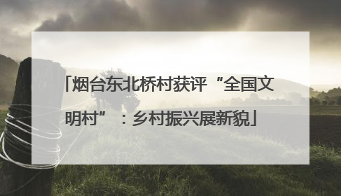 烟台东北桥村获评“全国文明村”：乡村振兴展新貌