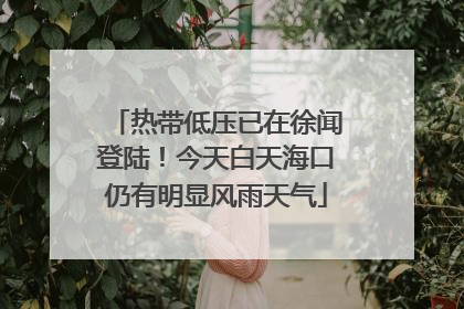 热带低压已在徐闻登陆！今天白天海口仍有明显风雨天气
