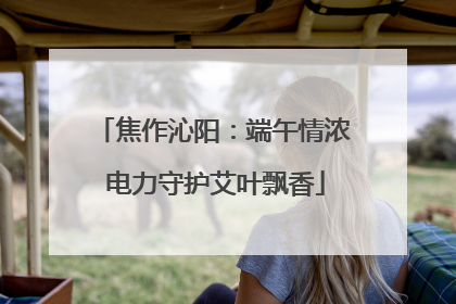 焦作沁阳：端午情浓 电力守护艾叶飘香