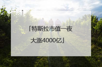 特斯拉市值一夜大涨4000亿