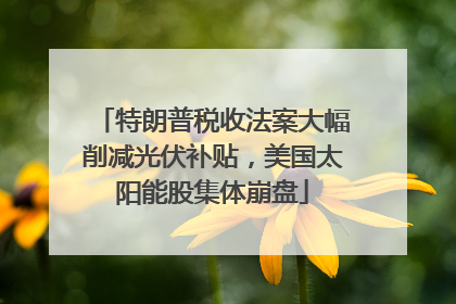 特朗普税收法案大幅削减光伏补贴，美国太阳能股集体崩盘