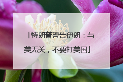 特朗普警告伊朗：与美无关，不要打美国
