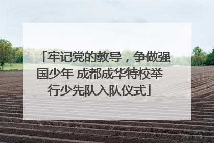 牢记党的教导，争做强国少年 成都成华特校举行少先队入队仪式
