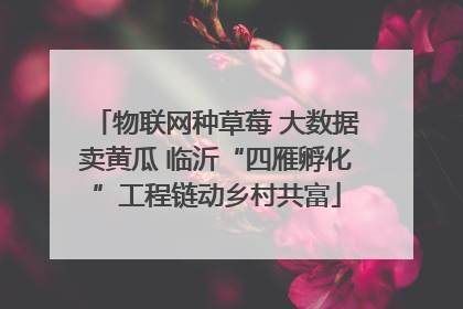 物联网种草莓 大数据卖黄瓜 临沂“四雁孵化”工程链动乡村共富