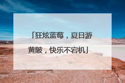 狂炫蓝莓，夏日游黄陂，快乐不宕机