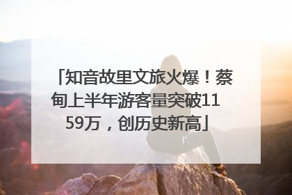 知音故里文旅火爆！蔡甸上半年游客量突破1159万，创历史新高