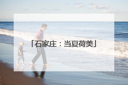 石家庄：当夏荷美