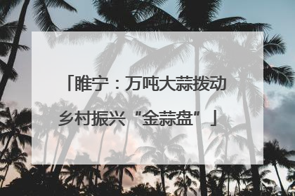 睢宁：万吨大蒜拨动乡村振兴“金蒜盘”