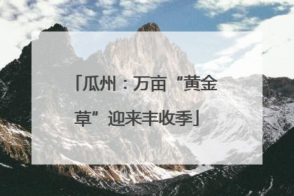 瓜州：万亩“黄金草”迎来丰收季