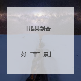 瓜果飘香 好“丰”景