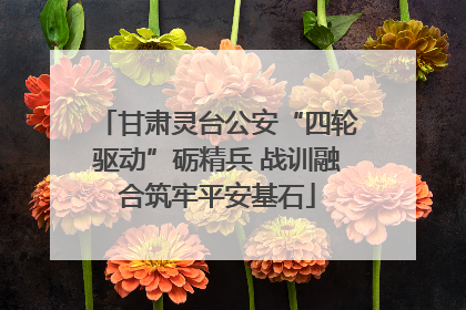 甘肃灵台公安“四轮驱动”砺精兵 战训融合筑牢平安基石