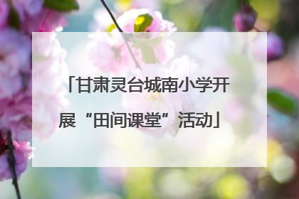 甘肃灵台城南小学开展“田间课堂”活动