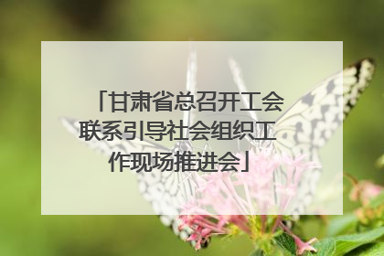 甘肃省总召开工会联系引导社会组织工作现场推进会