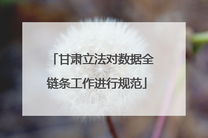 甘肃立法对数据全链条工作进行规范