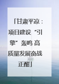 甘肃平凉：项目建设“引擎”轰鸣 高质量发展奋战正酣
