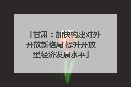 甘肃：加快构建对外开放新格局 提升开放型经济发展水平