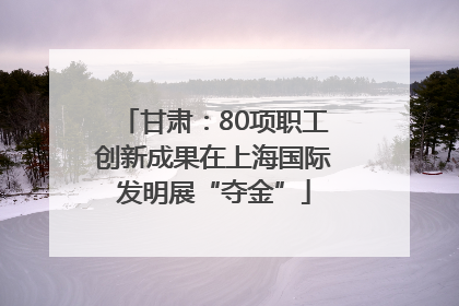 甘肃：80项职工创新成果在上海国际发明展“夺金”