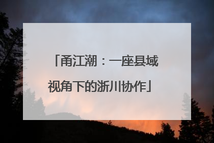 甬江潮：一座县域视角下的浙川协作