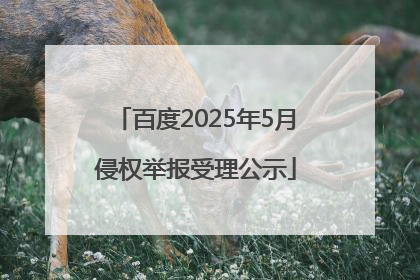 百度2025年5月侵权举报受理公示