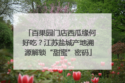 百果园门店西瓜缘何好吃？江苏盐城产地溯源解锁“甜蜜”密码