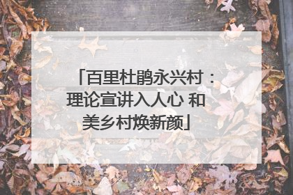 百里杜鹃永兴村：理论宣讲入人心 和美乡村焕新颜