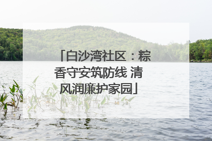 白沙湾社区：粽香守安筑防线 清风润廉护家园