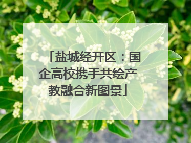 盐城经开区：国企高校携手共绘产教融合新图景