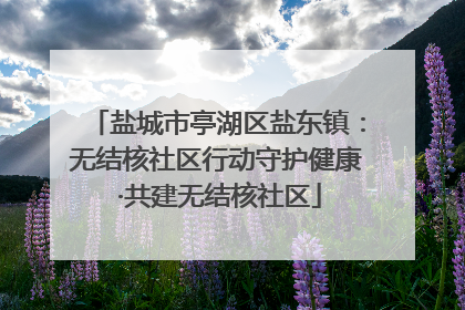 盐城市亭湖区盐东镇：无结核社区行动守护健康 ·共建无结核社区