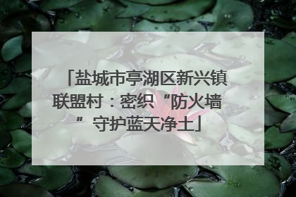 盐城市亭湖区新兴镇联盟村：密织“防火墙”守护蓝天净土