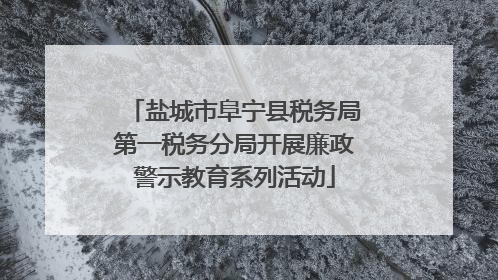 盐城市阜宁县税务局第一税务分局开展廉政警示教育系列活动