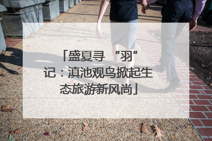 盛夏寻 “羽” 记：滇池观鸟掀起生态旅游新风尚