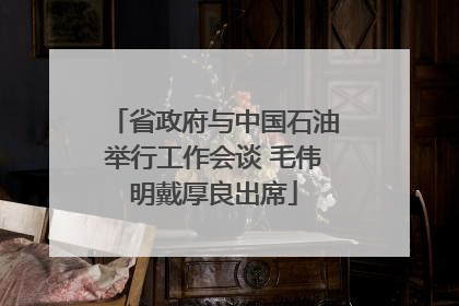 省政府与中国石油举行工作会谈 毛伟明戴厚良出席