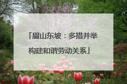 眉山东坡：多措并举构建和谐劳动关系