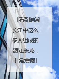 看到浩瀚长江中这么多人组成的渡江长龙，非常震撼