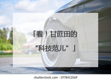 看！甘蔗田的“科技范儿”