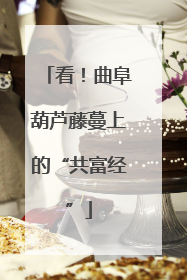 看！曲阜葫芦藤蔓上的“共富经”