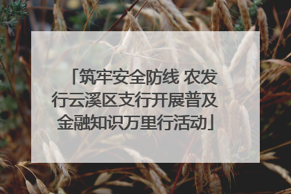 筑牢安全防线 农发行云溪区支行开展普及金融知识万里行活动