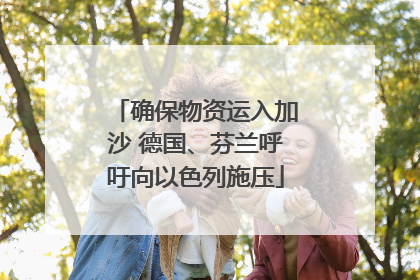 确保物资运入加沙 德国、芬兰呼吁向以色列施压