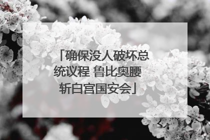 确保没人破坏总统议程 鲁比奥腰斩白宫国安会