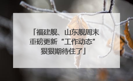 福建舰、山东舰周末重磅更新“工作动态” 狠狠期待住了