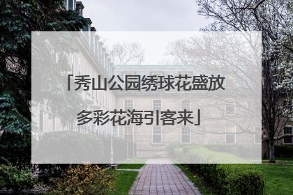 秀山公园绣球花盛放 多彩花海引客来