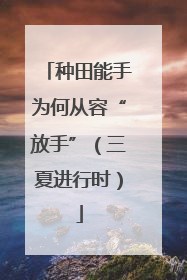 种田能手为何从容“放手”（三夏进行时）