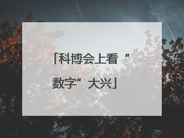 科博会上看“数字”大兴