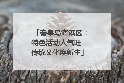 秦皇岛海港区：特色活动人气旺 传统文化焕新生
