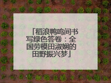 稻浪鸭鸣间书写绿色答卷：全国劳模田淑娴的田野振兴梦