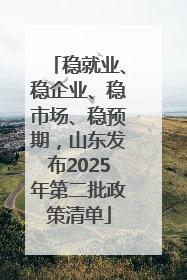 稳就业、稳企业、稳市场、稳预期，山东发布2025年第二批政策清单