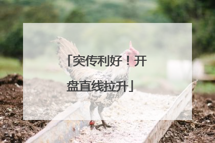 突传利好！开盘直线拉升