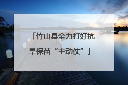 竹山县全力打好抗旱保苗“主动仗”